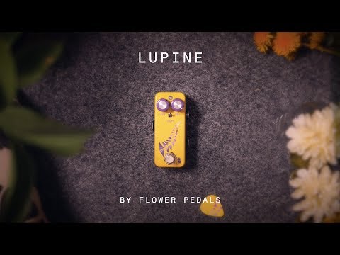 Flower Pedals Lupine Analog Octave Up (demo)