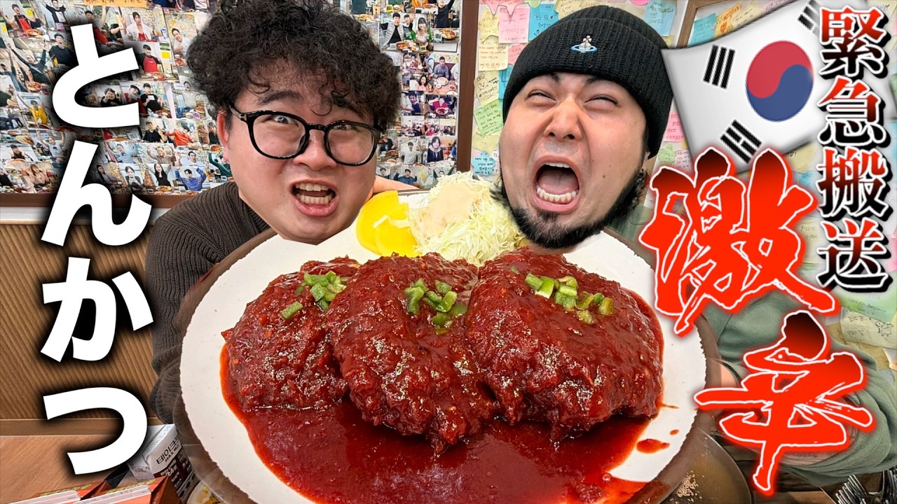 【危険】韓国の死の激辛とんかつが入院するレベルで辛過ぎた！！！！【食うな】