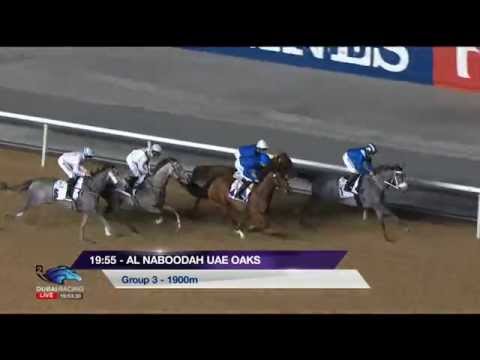 26.02.2015 Meydan (Dubai/UAE) 3.Race UAE Oaks - Group III 1.900 m