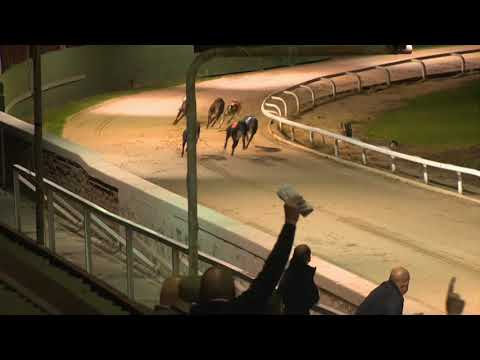 Roxholme Poppy - SIS Yorkshire St Leger Final