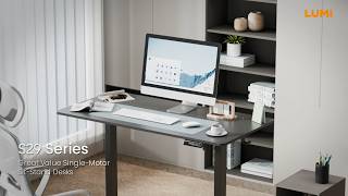 Great Value Single-Motor Sit-Stand Desks | S29 Series | LUMI