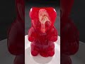 What's Inside This Gummy Bear Will Haunt You