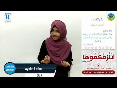 Arabic Day Campaign | Aysha Laiba