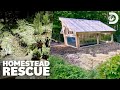 Best Before After Reveals Homestead Rescue Discovery