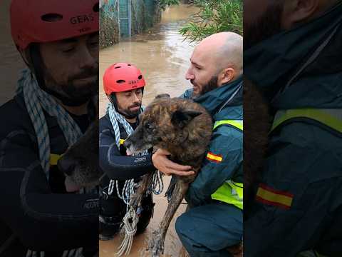 Así fueron los rescates en la Comunidad Valenciana #shorts