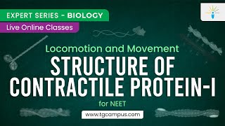 Structure of Contractile Protein-I | Locomotion and Movement | NEET | Biology - TG Campus