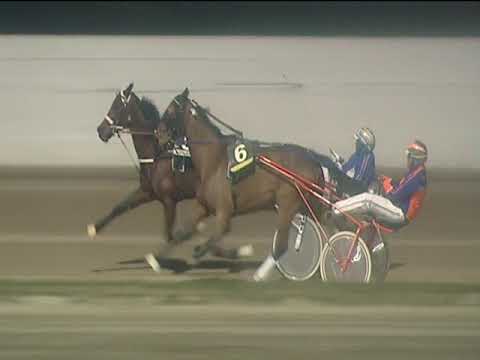 Trotto 24/02/2019 - 7ª corsa - TRIS