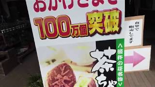 電気自動車で日本一周チャレンジ#41.1 || 九州編 || 長崎県道の駅[彼杵の荘]ちょい観光 かき氷がうまいみたいだ