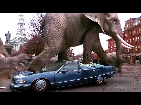 Jungle Animals Invasion!