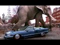 Jungle Animals Invasion