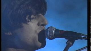 Chameleons - Monkeyland - (Live at the Camden Palace, London, UK, 1985)