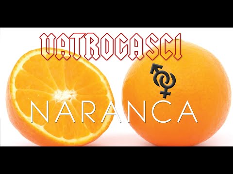 VATROGASCI - Naranča (Official Video)