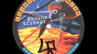 4D - Mindsafari