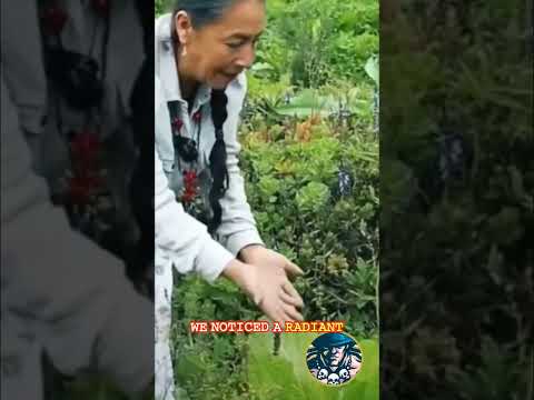 Radiant Antioquia: Rosa's Experience with Brilliant Energy #shorts