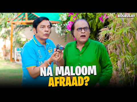 Na Maalom Afraad in Bulbulay House 😲| Bulbulay Season 2 | Momo | Ayesha Omar & Nabeel | Comedy Drama