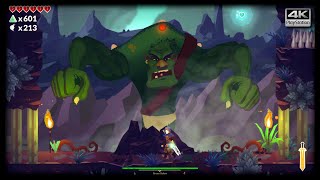 Leif's Adventure: Netherworld Hero (Boss Fight) Gameplay on PS5 Pro
