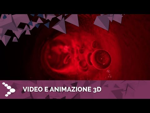 Animazione 3D del passaggio dei globuli rossi in un sistema venoso