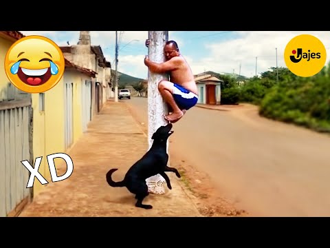 SI TE RÍES PIERDES NIVEL DIOS #138 🤣 VIDEOS DE RISA MUY GRACIOSOS 2025 🤣