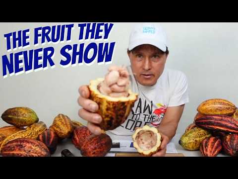 "Healthy” Chocolate Is a Lie — Meet the Real Cacao Fruit