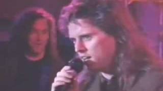 White Heart - Desert Rose