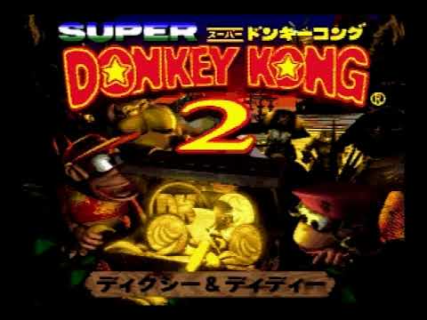 スーパードンキーコング2 ディクシー&ディディー
