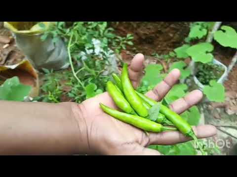 ചെറിയ കാര്യം വലിയ സന്തോഷം 🤩🤩😁😁😁Support Me ###Beautiful Wow😱