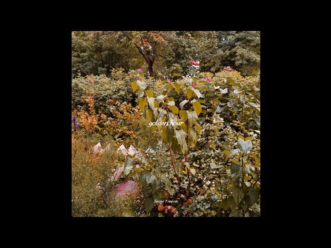 Sasha Timirev - golden hour (cover JVKE)