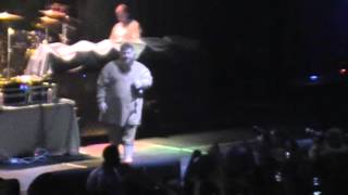 Action Bronson Hollywood Alligator