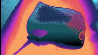 A Kissed Out Red Floatboat | Cocteau Twins