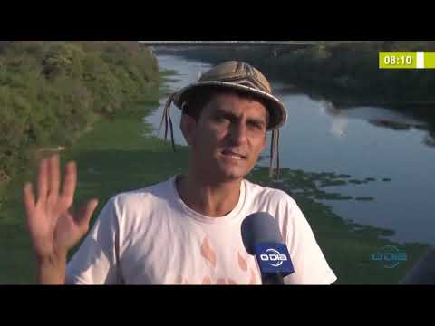 BOM DIA NEWS 03 10  AguapeÌs voltam a tomar conta da superfiÌcie do rio Poti