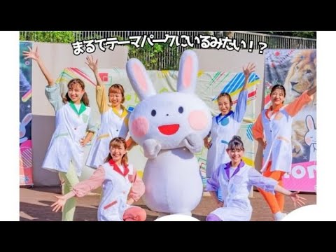 はみがきうさぎとおどろう！～テーマパークのようなエンターテインメントショー～