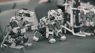 AI and Robotics: Top Trends You Need to Know in 2024