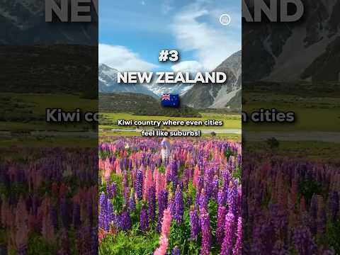 Top 10 Safest Countries in the World 2025. Based on Public Safety Perception.