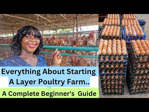 Build Your OWN Layer Poultry Farm From Scratch Today! A Complete Beginner's Guide