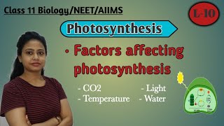 Ch-13 Photosynthesis in Higher plants | Factors affecting photosynthesis | Class 11 Biology/NEET