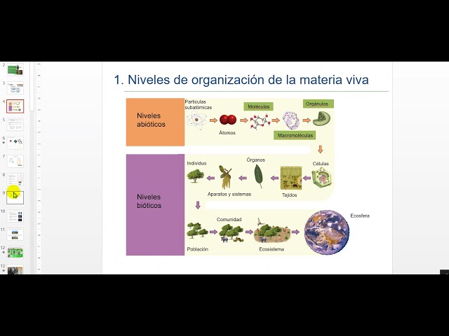 Vídeo relacionado con Biología Y Geología. 4º ESO (+ Código Smartbook) - 9788448609962