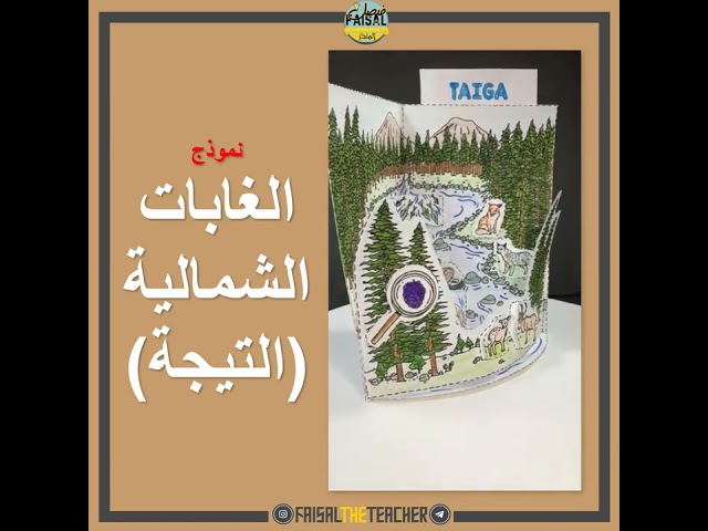 نموذج POP-UP لمنطقة الغابات الشمالية (التيجة)