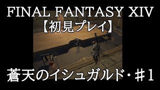 ゲーム初心者がＦＦ１４をやってみた#48