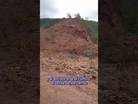 Chaco Boliviano, carretera Palos Blancos - Carapari. Provincia Gran Chaco  Departamento de Tarija