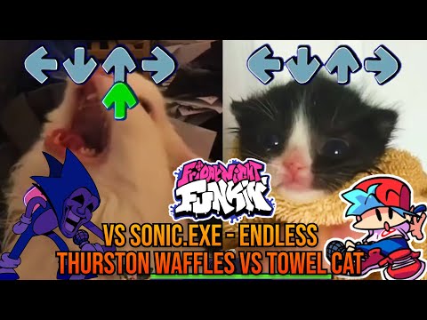 Sonic.exe Endless BUT Thurston Waffles VS Towel Cat Sing it! - Friday Night Funkin' Animation