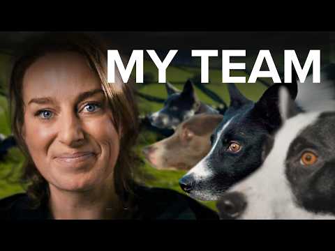 Wild & Tame and CSJ Specialist Canine Feeds