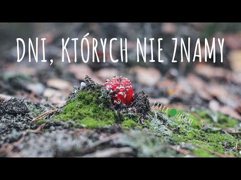 Dni, których nie znamy - Marek Grechuta [cover Jarek Zasacki]