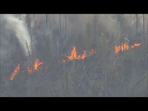 How Historic 2020 Colorado Wildfires Could Impact Drinking Water For Millions
