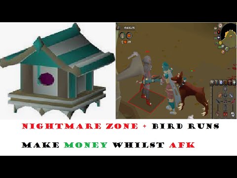 OSRS AFK TRAINING NIGHTMARE ZONE + BIRD RUNS GOOD XP MONEY AND TIME SAVING