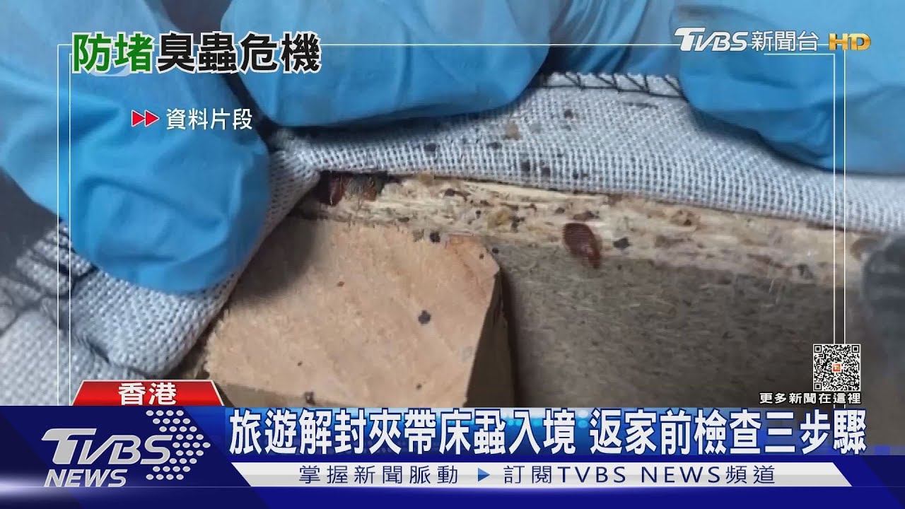 法國床蝨飄洋過海到南韓 有汗蒸幕鬧蟲患停業消毒