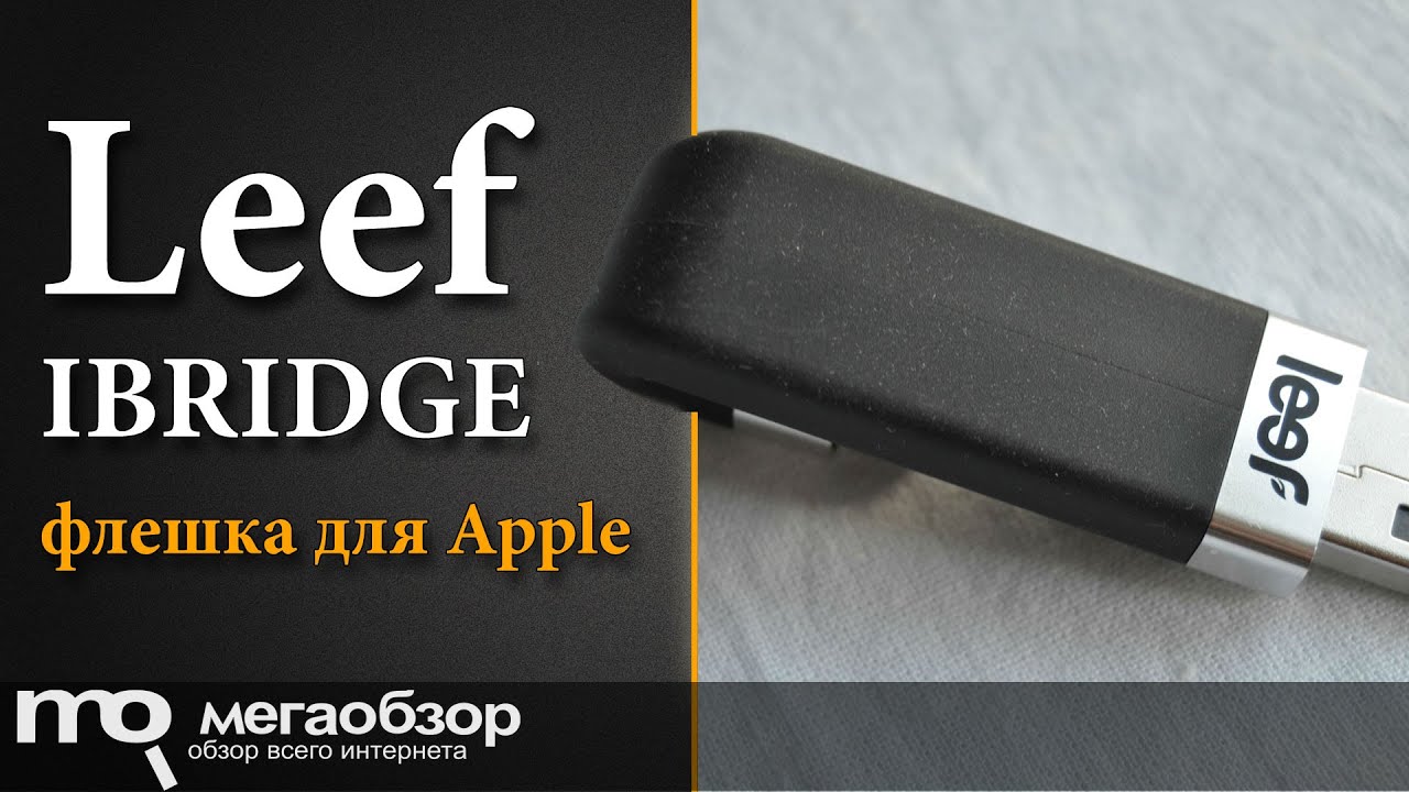 Leef meteor. Leef meteor. Leef meteor. Флешка leef для айфона. Leef vega.