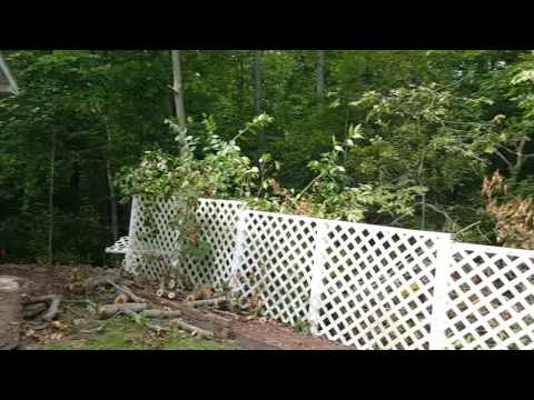 2016.07.18 - Back of brook Pointe cabin lines running