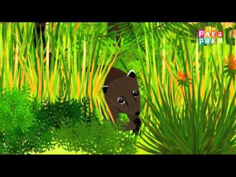 Animapaka I: Yaguareté (Cap. 23) - Canal Pakapaka