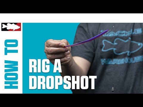 How-To Rig a Drop Shot – The Most Productive Finesse Technique in Bass Fishing