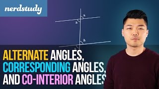 Adjacent Angles, Supplementary Angles, Opposite Angles, and Complementary Angles - Nerdstudy